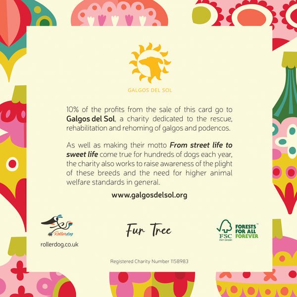 Back of a Christmas card showing the Galgos del Sol logo and information about the charity