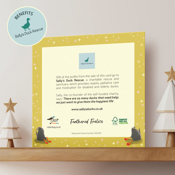 Back of a Christmas card with Sally's Duck Rescue branding and information on a decorative shelf