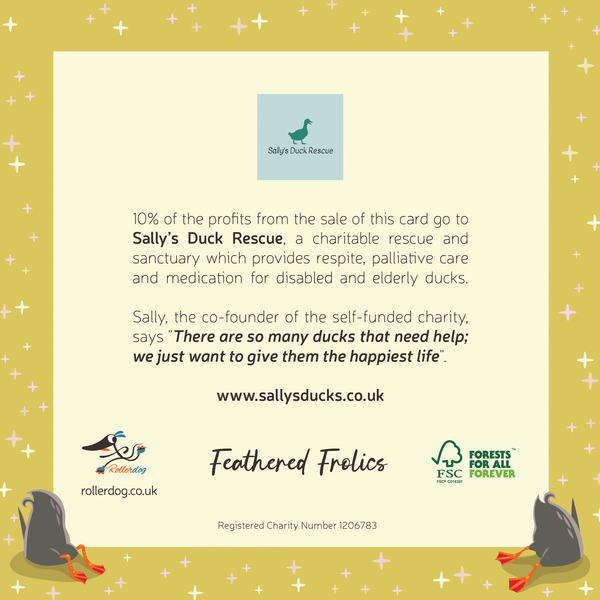 Pack of 5 Christmas Cards - Feathered Frolics