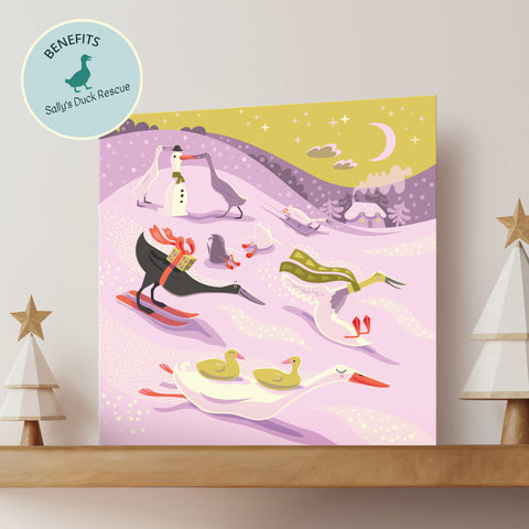 A Christmas card featuring an Illustration of happy ducks in a snowy landscape with 'Sally's Duck Rescue' logo.