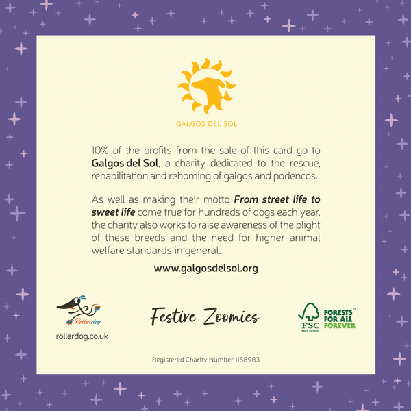 The back of the Festive Zoomies card giving information about the Galgos del Sol charity