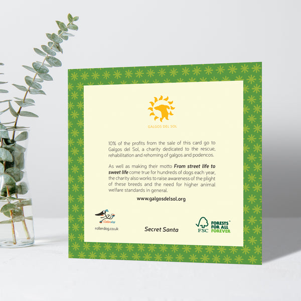 Pack of 5 Christmas Cards - Secret Santa
