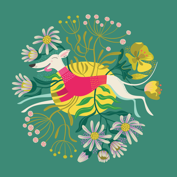 Snowy the Whippet illustration by Helen Foster of Rollerdog