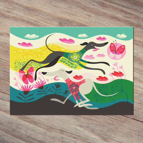 a Rollerdog Zoomies postcard showing the vibrant colours and glossy surface