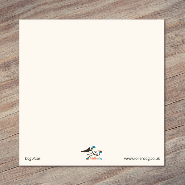 Dog Rose 10 Postcard Set