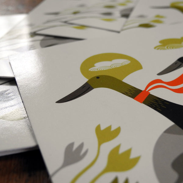 Derbyshire Ducks 10 Postcard Set