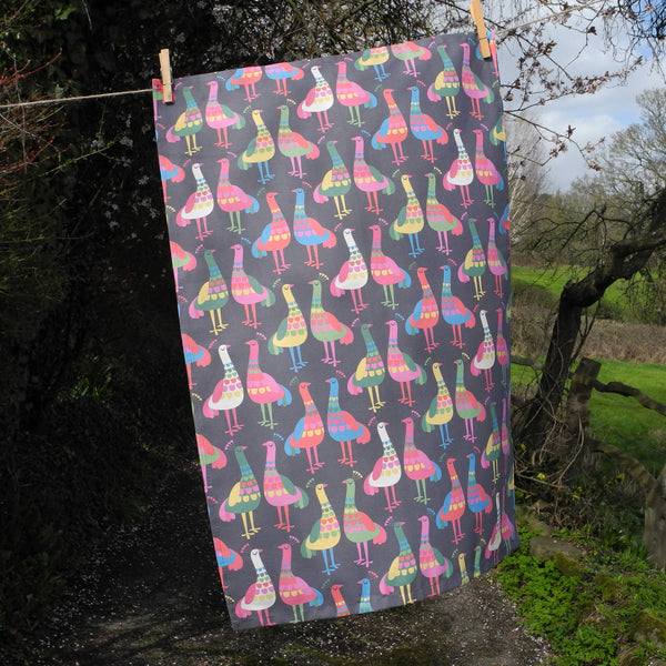 A Haughty Peacocks tea towels shown hanging on a washing line, in a countryside setting