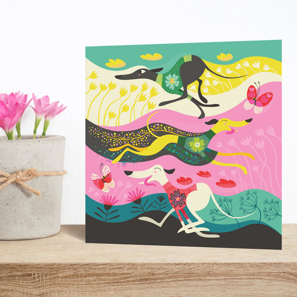 Zoomies greeting card by Rollerdog