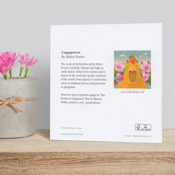 The back of a 'Cappyness' greeting card showing the information about the artist. The card sits on a wooden shelf next to a concrete pot containing pink flowers.