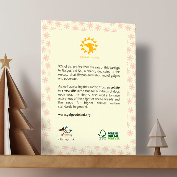 The back of a Rollerdog Christmas card detailing information about the charity Galgos Del Sol