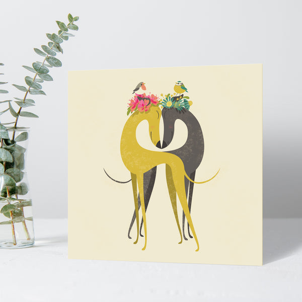 A Hounds of Love greeting card by Rollerdog, which depicts two sighthounds touching noses, with birds nesting on their heads