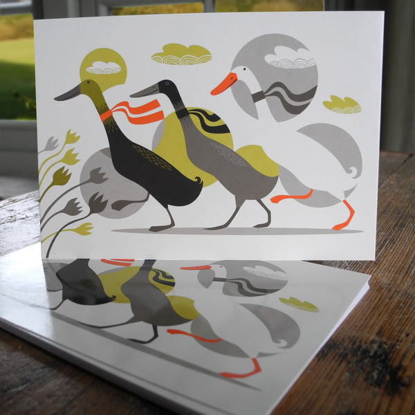 Three Ducks from Derbyshire 10 Postcard Set