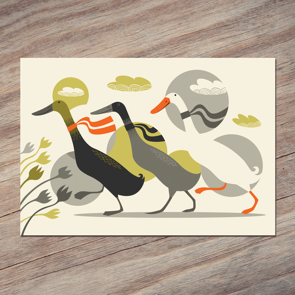 A Three Ducks from Derbyshire postcard by Rollerdog